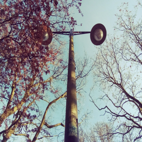 Light Pole